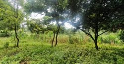 1.2 Acre Agricultural Land, Somanahalli, Kanakapura Road