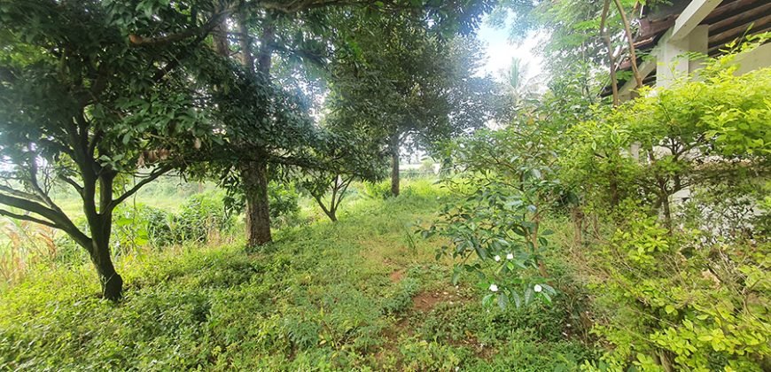 1.2 Acre Agricultural Land, Somanahalli, Kanakapura Road