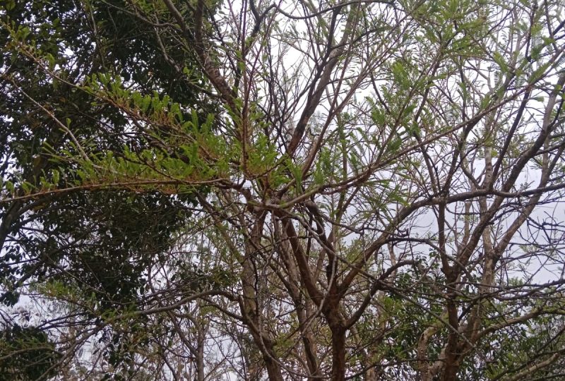 prop-1203288000000631060-5-WhatsApp-Image-2026-05-05-at-12.33.47-PM.jpeg